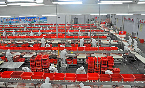 新肉类加工厂十月投产助力食品安全与产业升级