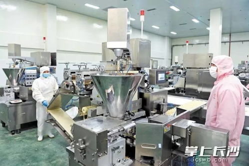宁乡项目建设按下快进键跑出加速度 食品加工产业乘势而上