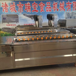 食品加工清洗去皮设备报价分析 如何选择可靠厂家