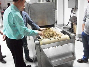 食品干燥国际专题研讨会举行 专家共商食品加工未来之路